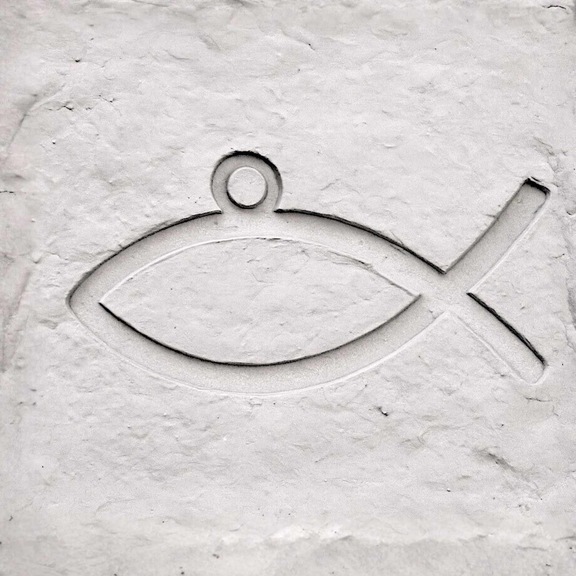 GUSSFORM & GUSS
Anhand des Modells wird eine Gussform gefertigt, in die anschließend der Edelstahl gegossen wird. Unsere Ichthys Fischkette besteht aus 316L (chirurgischem) Edelstahl – einem besonders hautfreundlichen, rostfreien, anlauffesten und wasserfesten Material. Da Edelstahl unendlich oft recycelt werden kann, gehört er zu den nachhaltigsten Metallen überhaupt.